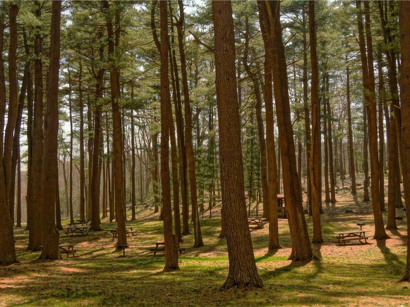 sudoku focus mode screenshot 3