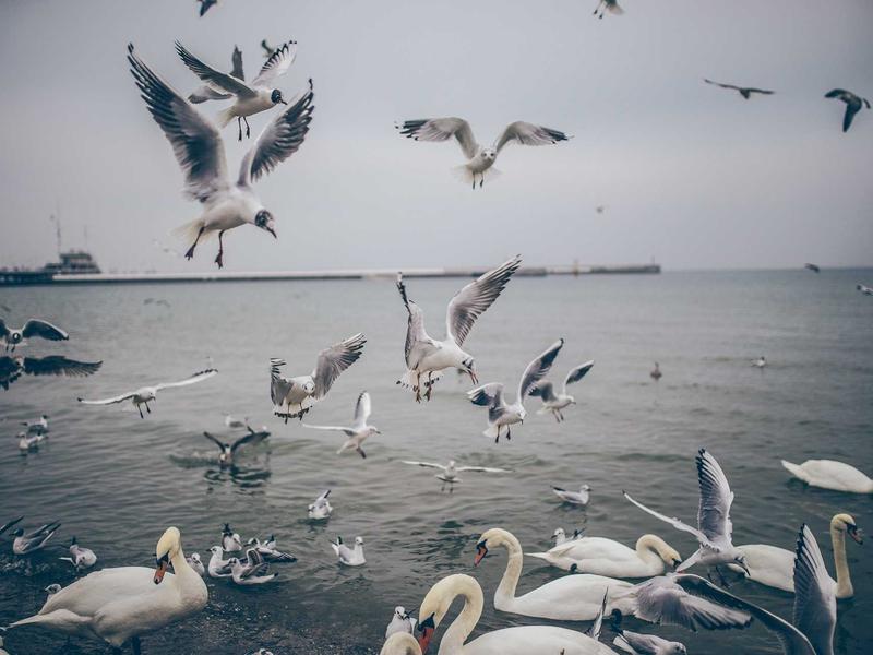 sudoku focus mode screenshot 6